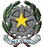 logo_rep-italia.jpeg.jpg (7620 byte)