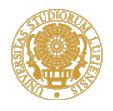 salento-univ-logo.gif (5479 byte)