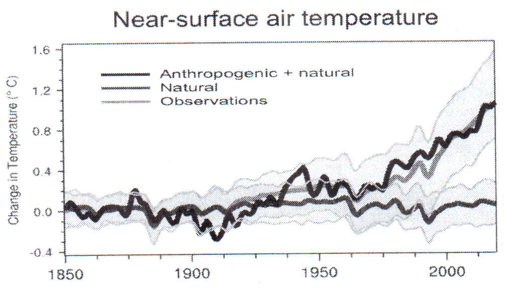 rizza2-bis.jpg (62181 byte)